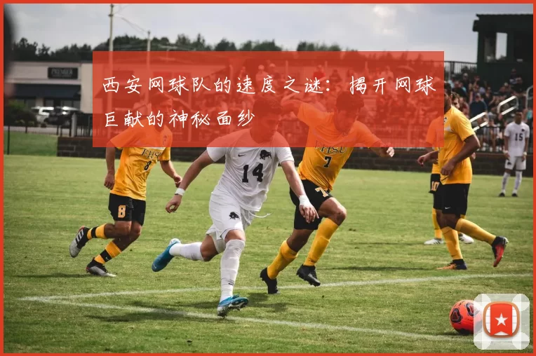 西安网球队的速度之谜：揭开网球巨献的神秘面纱