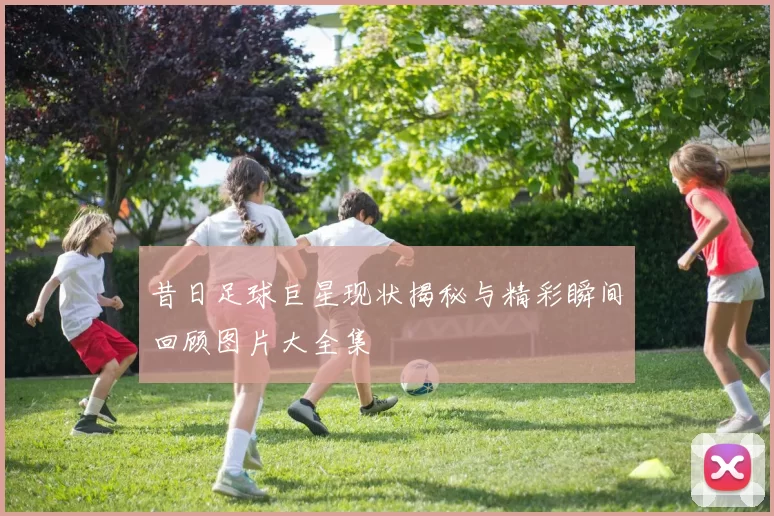昔日足球巨星现状揭秘与精彩瞬间回顾图片大全集