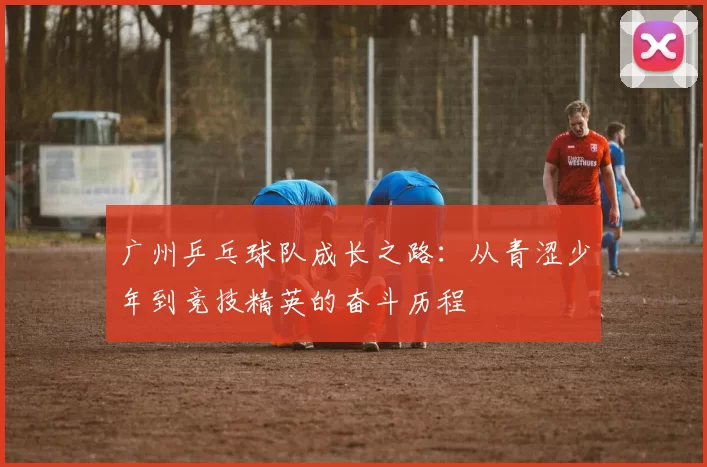 广州乒乓球队成长之路：从青涩少年到竞技精英的奋斗历程