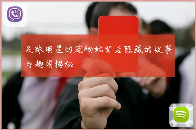 足球明星的宠物蛇背后隐藏的故事与趣闻揭秘