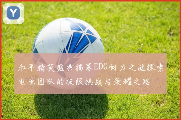 和平精英盛典揭幕EDG耐力之谜探索电竞团队的极限挑战与荣耀之路