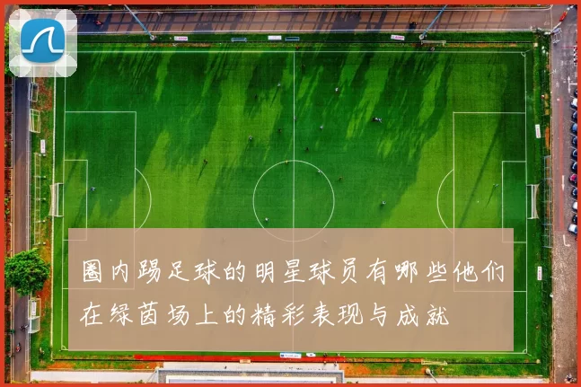圈内踢足球的明星球员有哪些他们在绿茵场上的精彩表现与成就