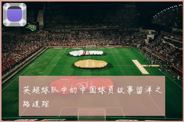 英超球队中的中国球员故事留洋之路追踪