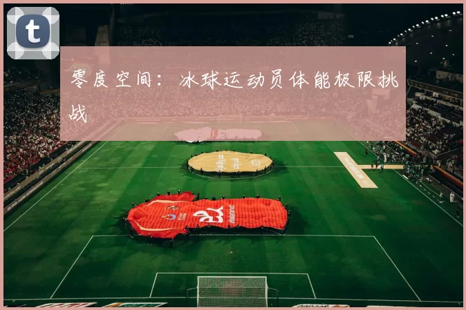 零度空间：冰球运动员体能极限挑战