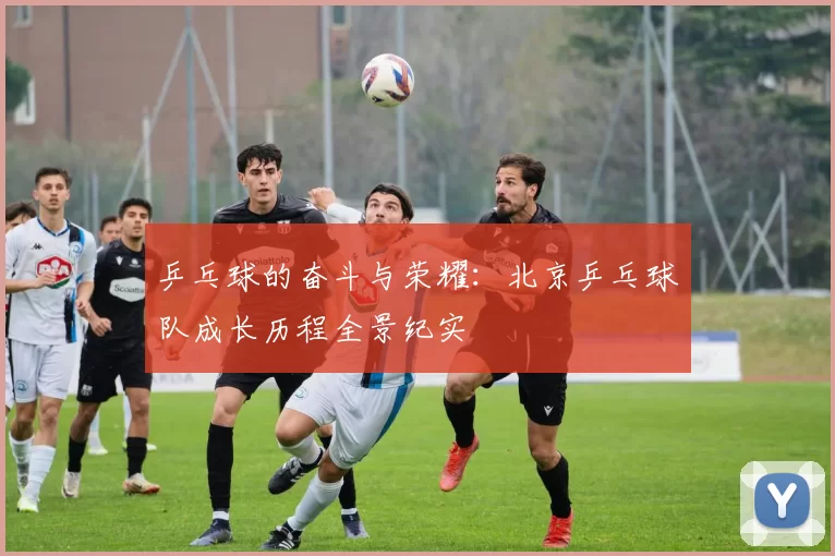 乒乓球的奋斗与荣耀：北京乒乓球队成长历程全景纪实