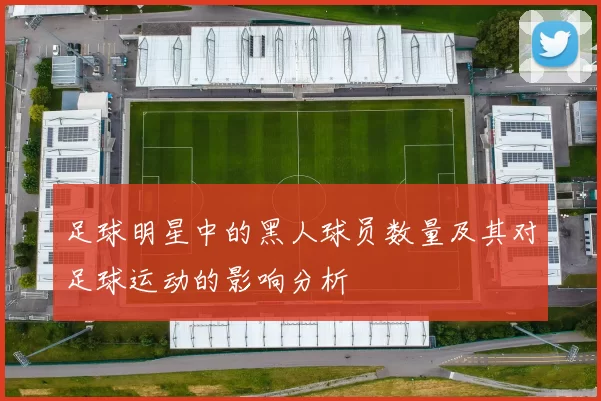 足球明星中的黑人球员数量及其对足球运动的影响分析