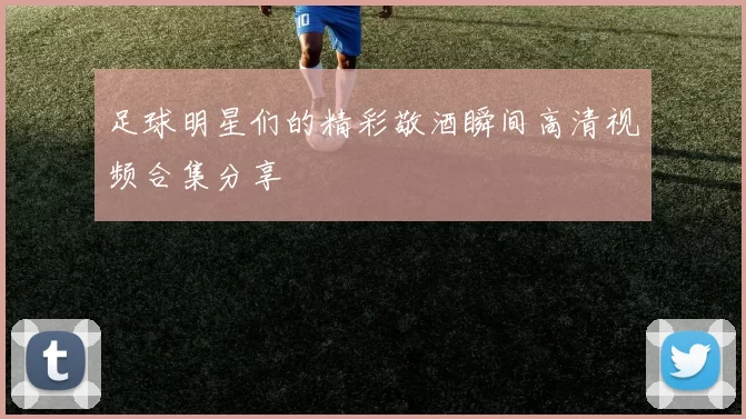 足球明星们的精彩敬酒瞬间高清视频合集分享