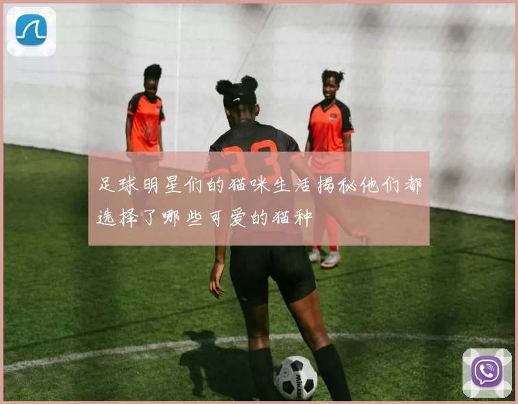 足球明星们的猫咪生活揭秘他们都选择了哪些可爱的猫种
