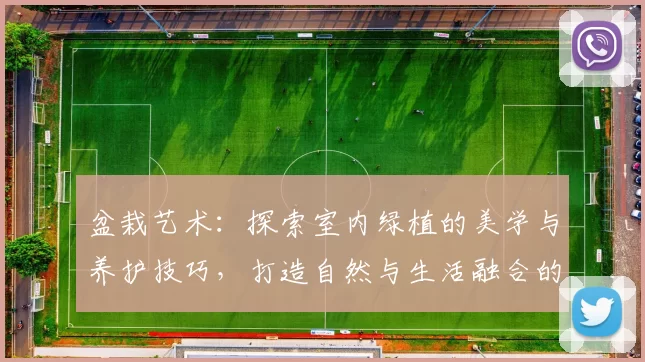 盆栽艺术：探索室内绿植的美学与养护技巧，打造自然与生活融合的绿色空间