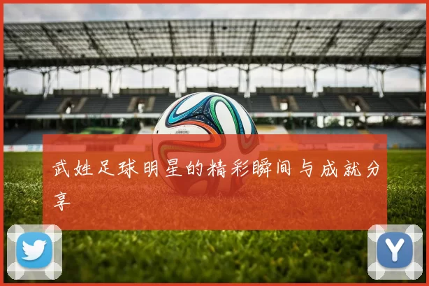 武姓足球明星的精彩瞬间与成就分享