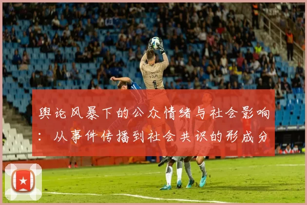 舆论风暴下的公众情绪与社会影响：从事件传播到社会共识的形成分析