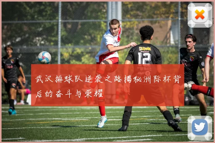武汉排球队逆袭之路揭秘洲际杯背后的奋斗与荣耀