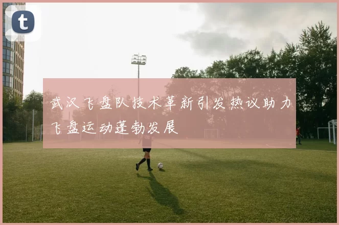 武汉飞盘队技术革新引发热议助力飞盘运动蓬勃发展