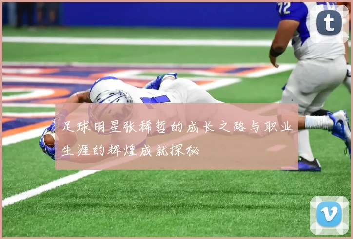 足球明星张稀哲的成长之路与职业生涯的辉煌成就探秘