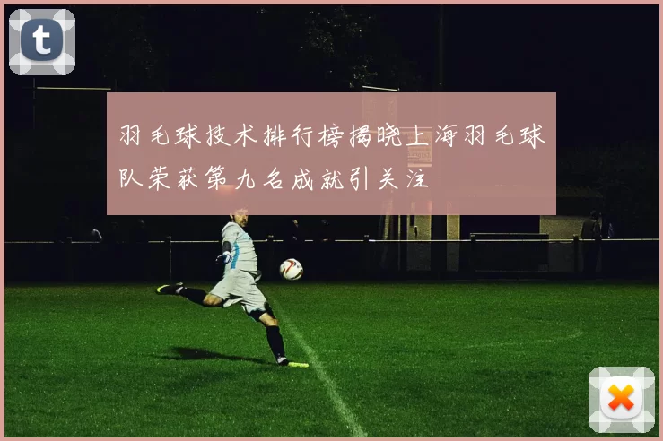 羽毛球技术排行榜揭晓上海羽毛球队荣获第九名成就引关注