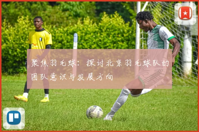 聚焦羽毛球：探讨北京羽毛球队的团队意识与发展方向