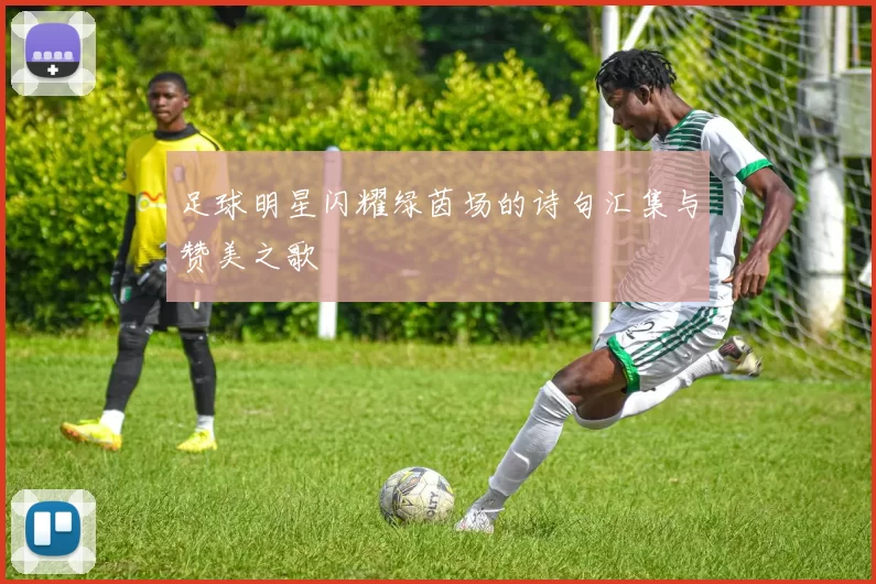 足球明星闪耀绿茵场的诗句汇集与赞美之歌