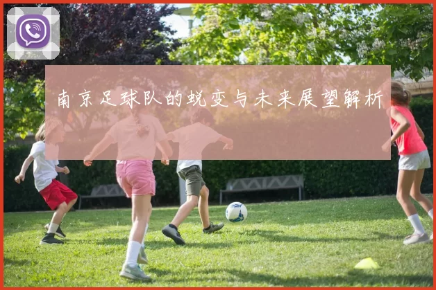 南京足球队的蜕变与未来展望解析