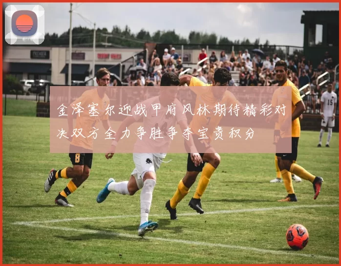 金泽塞尔迎战甲府风林期待精彩对决双方全力争胜争夺宝贵积分