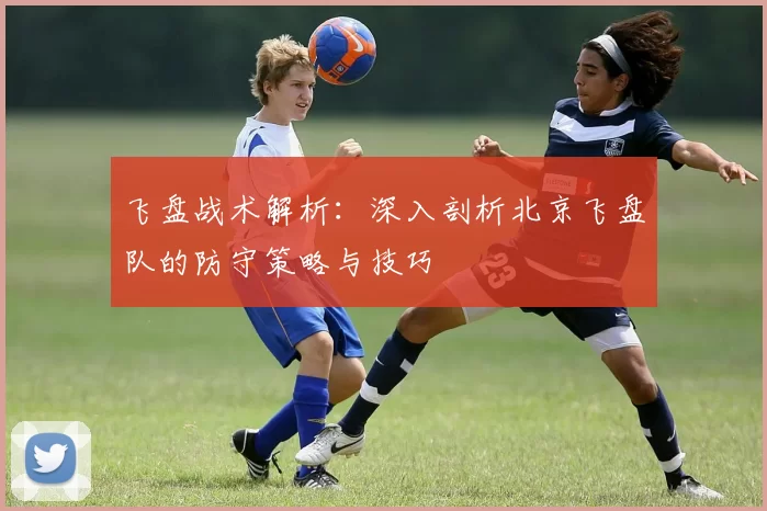 飞盘战术解析：深入剖析北京飞盘队的防守策略与技巧