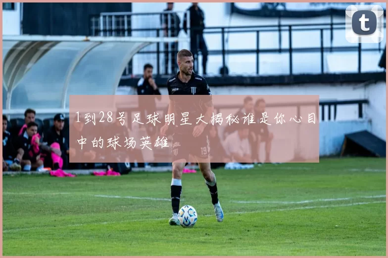 1到28号足球明星大揭秘谁是你心目中的球场英雄