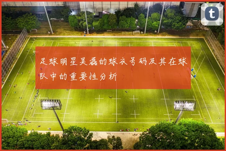 足球明星吴磊的球衣号码及其在球队中的重要性分析
