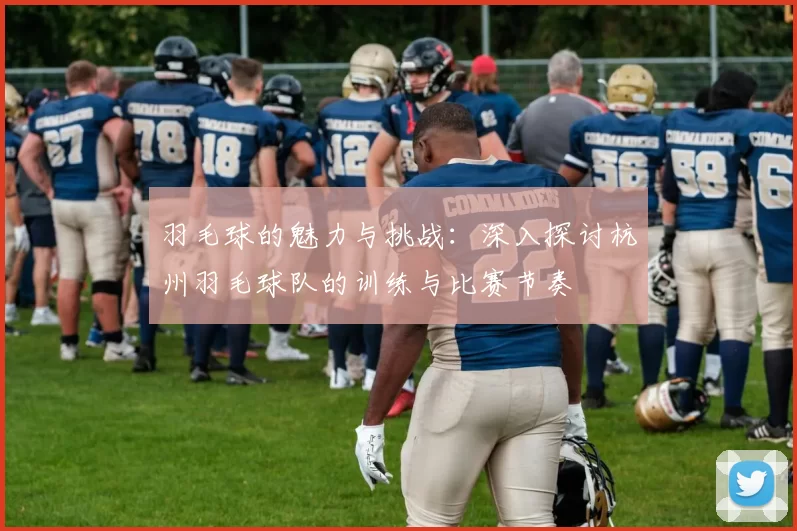 羽毛球的魅力与挑战：深入探讨杭州羽毛球队的训练与比赛节奏