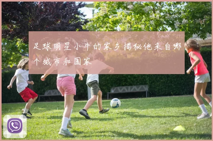 足球明星小牛的家乡揭秘他来自哪个城市和国家