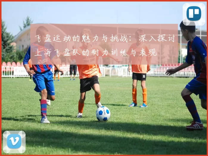 飞盘运动的魅力与挑战：深入探讨上海飞盘队的耐力训练与表现
