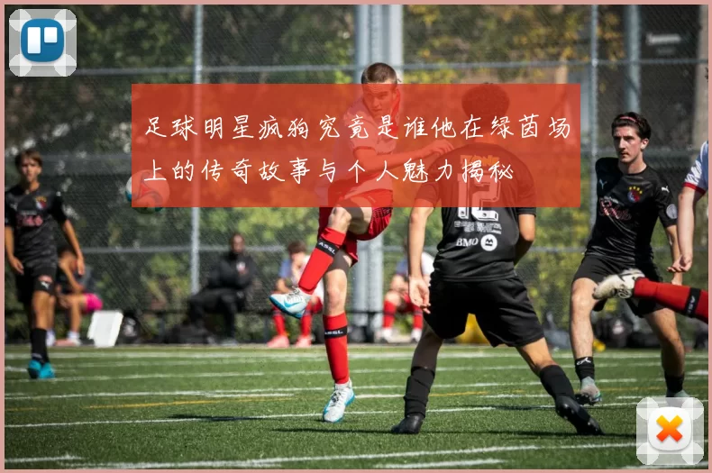 足球明星疯狗究竟是谁他在绿茵场上的传奇故事与个人魅力揭秘