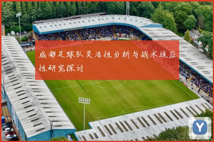 成都足球队灵活性分析与战术适应性研究探讨