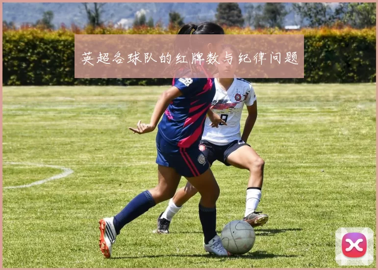 英超各球队的红牌数与纪律问题