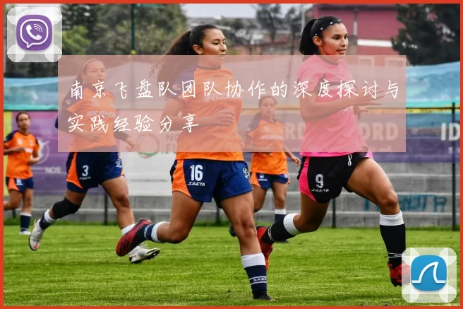 南京飞盘队团队协作的深度探讨与实践经验分享