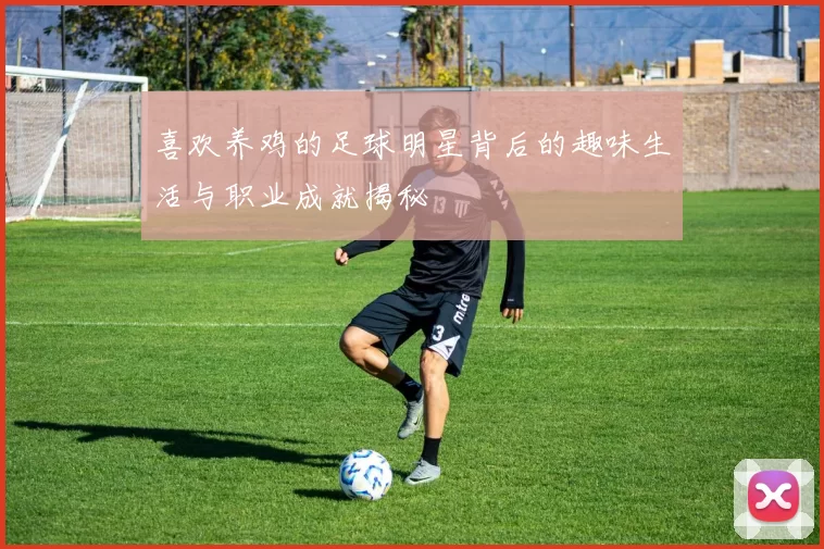 喜欢养鸡的足球明星背后的趣味生活与职业成就揭秘