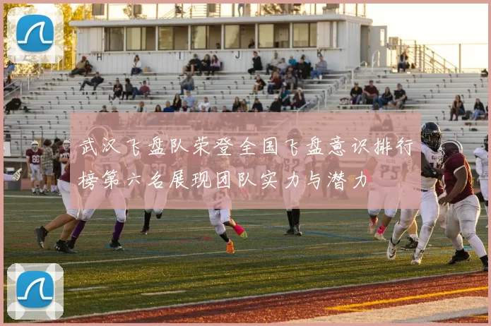 武汉飞盘队荣登全国飞盘意识排行榜第六名展现团队实力与潜力
