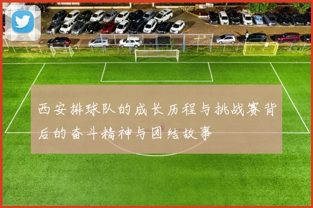 西安排球队的成长历程与挑战赛背后的奋斗精神与团结故事