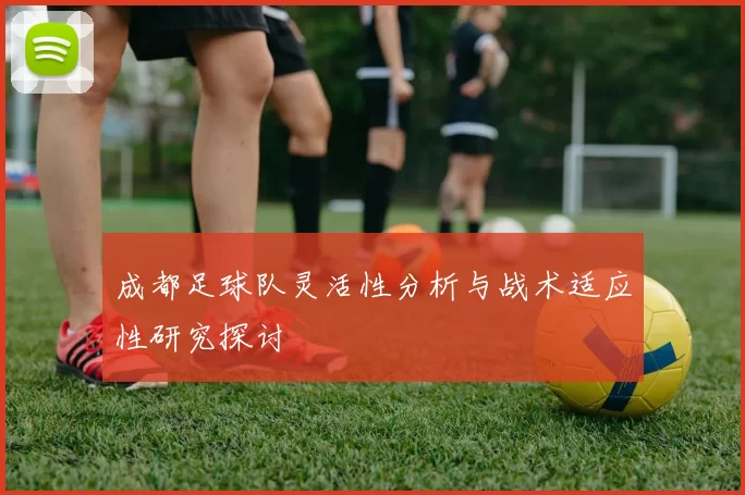 成都足球队灵活性分析与战术适应性研究探讨