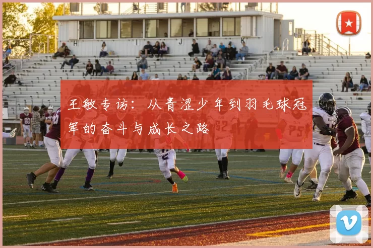 王敏专访：从青涩少年到羽毛球冠军的奋斗与成长之路