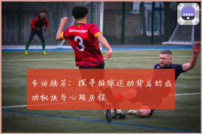 专访杨芳：探寻排球运动背后的成功秘诀与心路历程