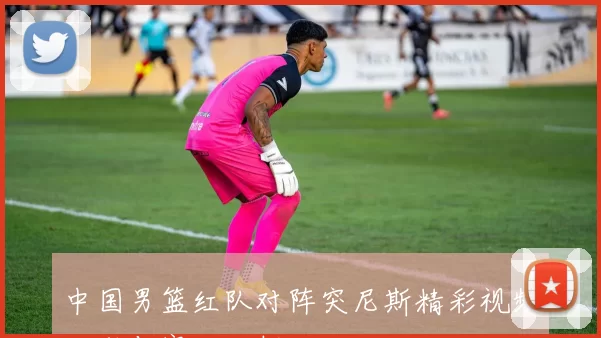 中国男篮红队对阵突尼斯精彩视频回顾与赛后分析