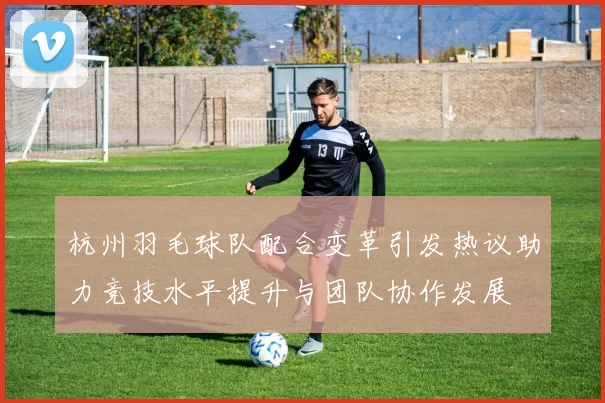 杭州羽毛球队配合变革引发热议助力竞技水平提升与团队协作发展